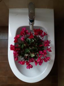 Fiori